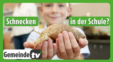 Thumbnail-Bild zum Video