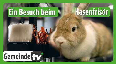 Thumbnail-Bild zum Video