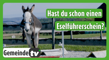 Thumbnail-Bild zum Video