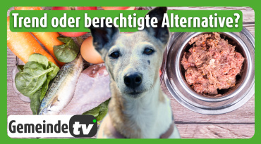 Thumbnail-Bild zum Video