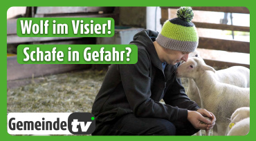 Thumbnail-Bild zum Video