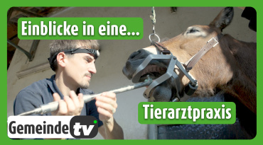 Thumbnail-Bild zum Video