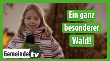 Thumbnail-Bild zum Video