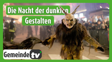 Thumbnail-Bild zum Video