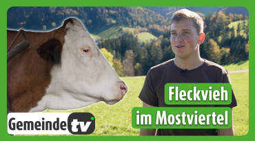 Thumbnail-Bild zum Video